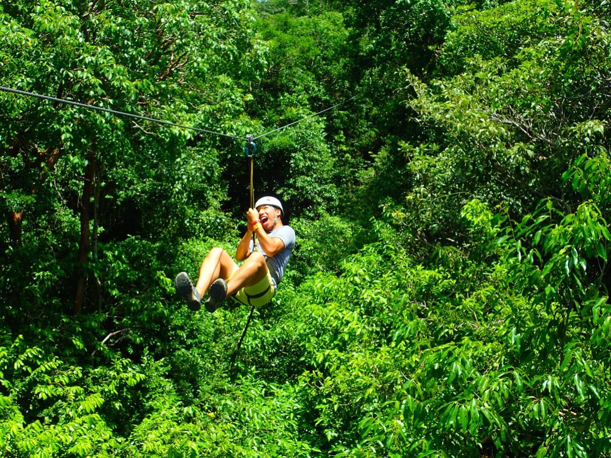 Zipline through jungle canopy